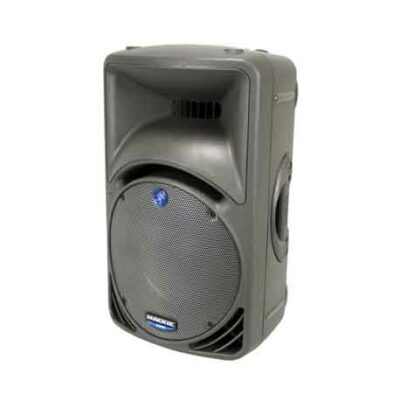 Enceinte-type-Mackie-C300